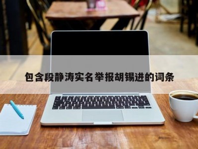 包含段静涛实名举报胡锡进的词条