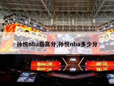 孙悦nba最高分,孙悦nba多少分