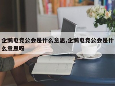 企鹅电竞公会是什么意思,企鹅电竞公会是什么意思呀