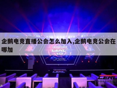 企鹅电竞直播公会怎么加入,企鹅电竞公会在哪加