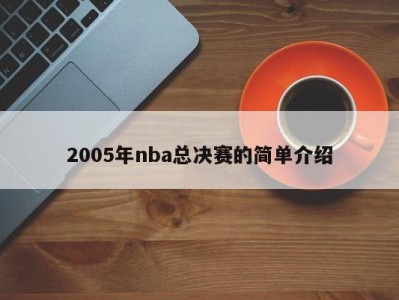 2005年nba总决赛的简单介绍